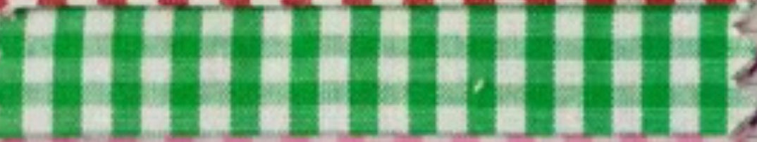 RTS • Wholesale Gingham Sash
