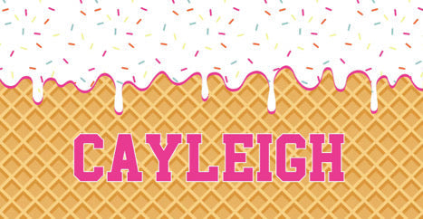 *Preorder* Wholesale Ice Cream Beach Towel Preorder